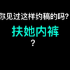 《 扶 她 内 裤
