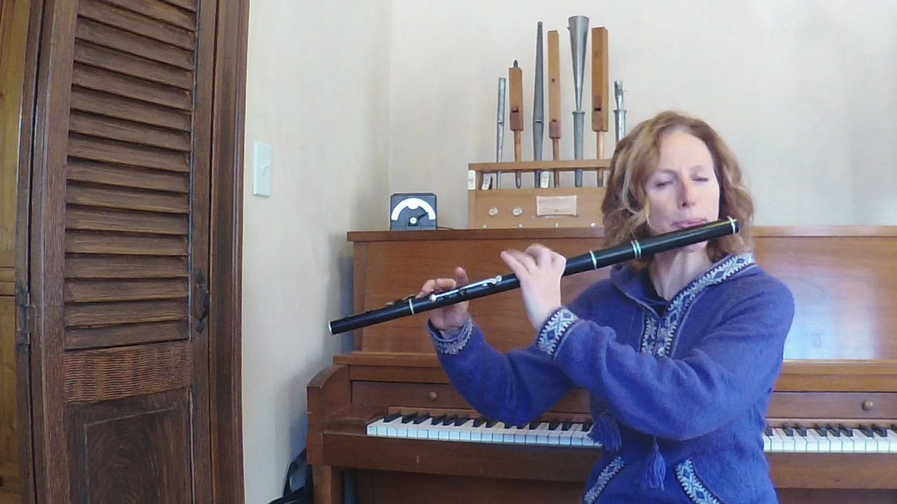 爱尔兰木长笛教程learningirishflutejoecooleysreel