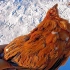 齐齐哈尔零下32度，小伙发现鸡架里的活鸡被冻死，太可怕了！