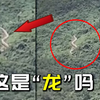 【辟谣】山坡上拍到巨型白蛇，是传说中的龙吗