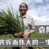 杂交水稻之父袁隆平的成就，华人当为祖国奉献一生