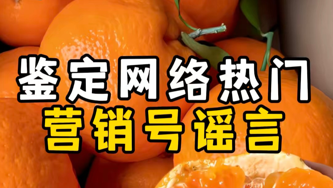 鉴定网络热门营销号谣言/吹气耙耙柑/撞死劫匪被判正当防卫/额头贴纸提升专注力