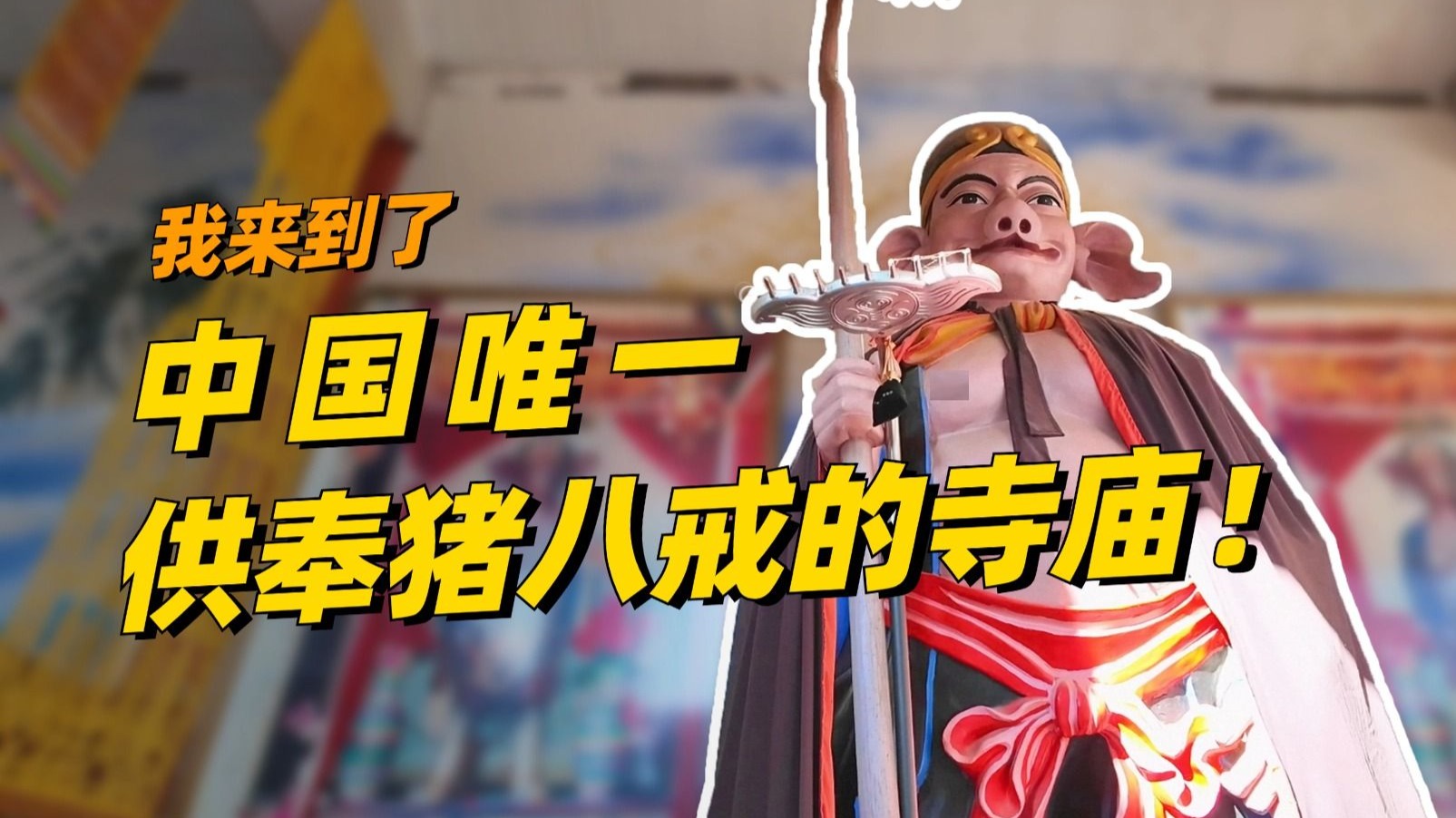 我麻了，猪八戒咋成云南人了？