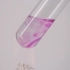 化学实验演示：镁与水的反应