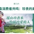 中国品牌全案策划10年农产品领域经典案例精华