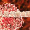 人乳头瘤病毒HPV
