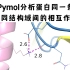 Pymol - 蛋白同一链上不同结构域间的相互作用