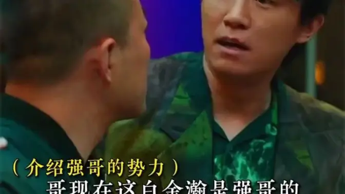 安欣一个理想主义者的殉道人生