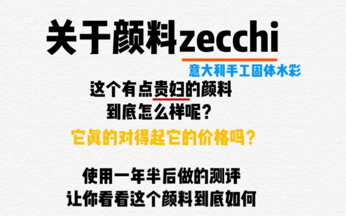 zecchi意大利手工固体水彩到底怎么样?!非恰饭人员给你诚恳的展示一下!哔哩哔哩bilibili