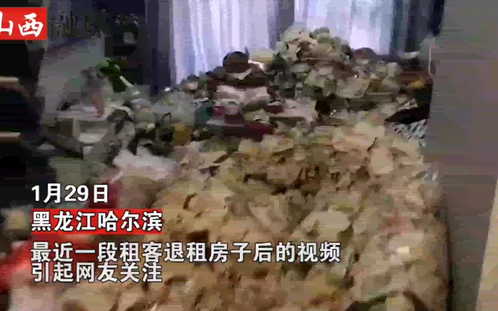 黑龙江一出租屋成垃圾场，墙面爬满虫子惊呆房东：挺漂亮女生租的，才两月！