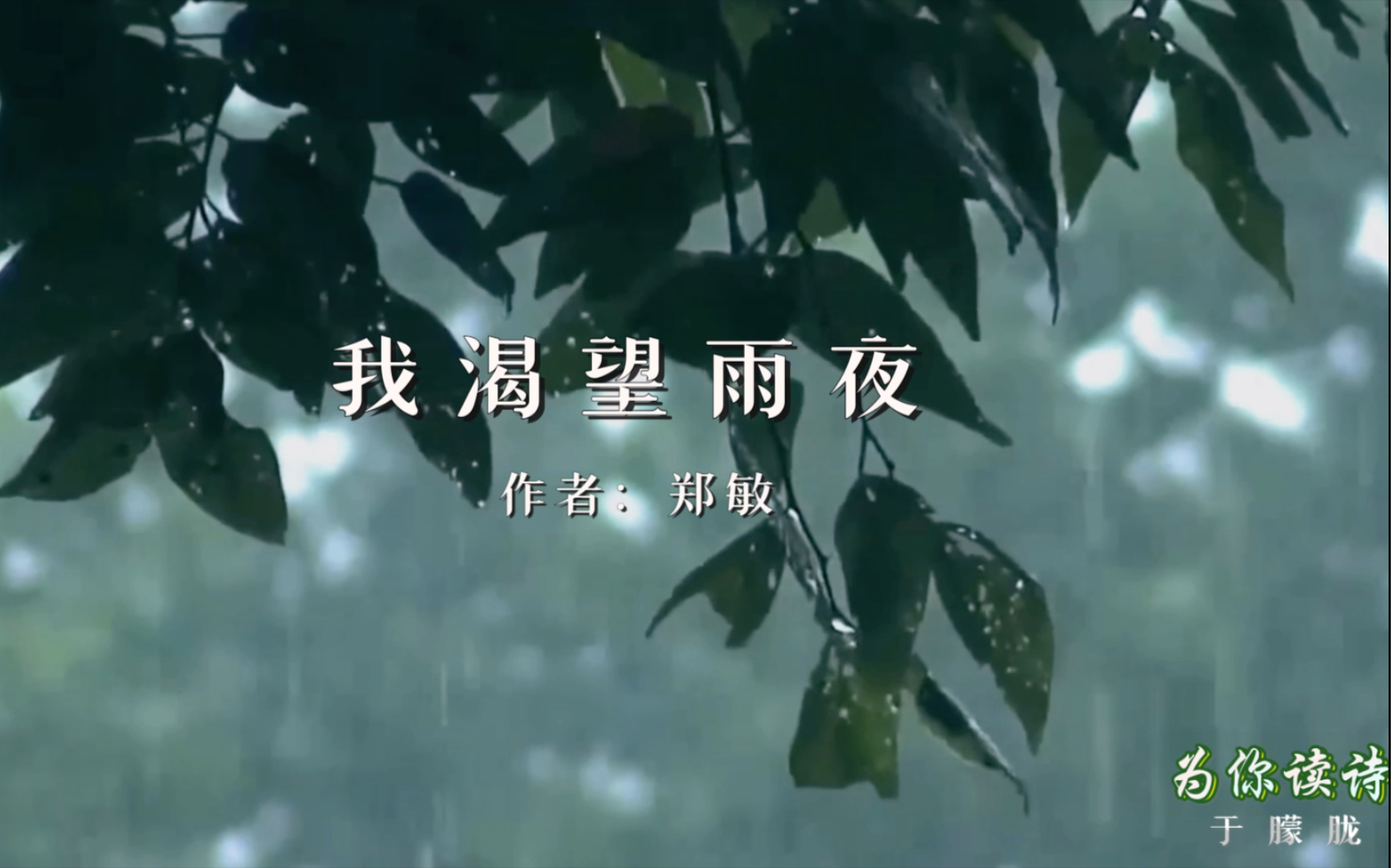 【于朦胧声音世界】20190515〖为你读诗〗郑敏《我渴望雨夜》（雨声版）