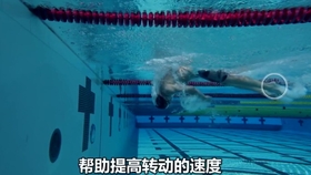 7466a040f6ec00994675bf9a44511687e2c788dc.jpg@280w_158h_1c_100q.jpg