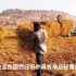 印度宣传片《欢迎来印度》：印度农业和种姓制度