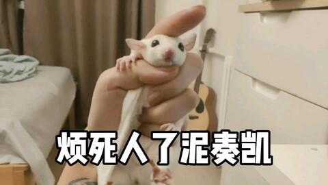 74975a78a8556486f7b32a3be5c8d69c6e5748bf.jpg@480w_270h_1c