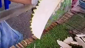 金枕榴莲和普通榴莲怎么区分 74a7457d832bba4d8da2453bd034b4f1c4ebced2.png@280w_158h_1c_100q.jpg