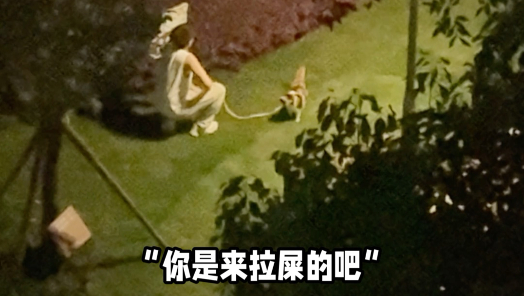 人为了看热闹能有多拼…
