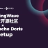 RisingWave 中文开源社区 X Apache Doris meetup 北京站