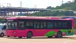 74c65d440c0dae450a686e8452101ca5b004a6f7.jpg@310w_174h_1c_100q.jpg