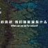 2021中国野生生物影像年赛——宣传大片