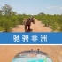 【360°全景视频】飞驰在非洲大草原，与大象为伴！