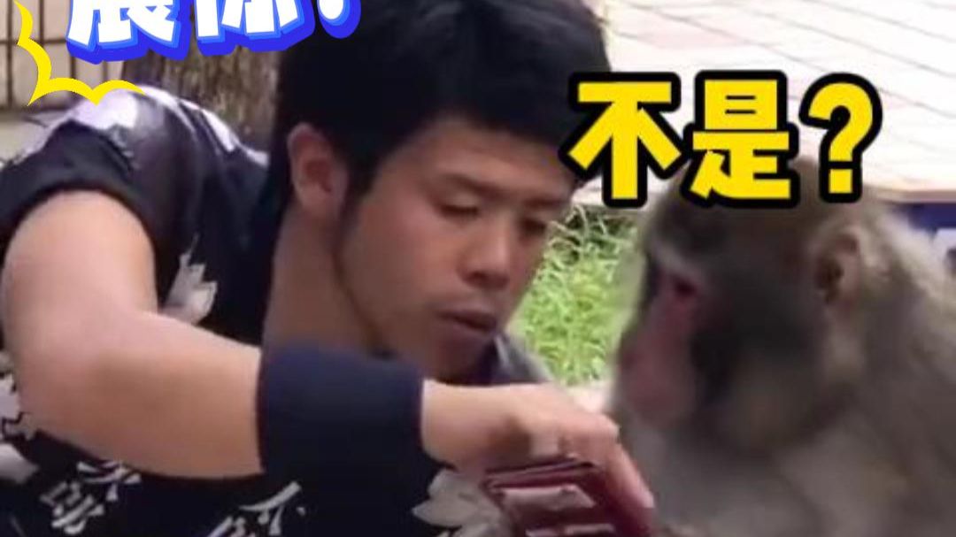 猴哥：我感觉你在给我下套！
