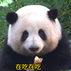 “五一”大假最后一天！花劳模兢兢业业坚守在吃播岗位第一线！谭爷爷表示亲切慰问