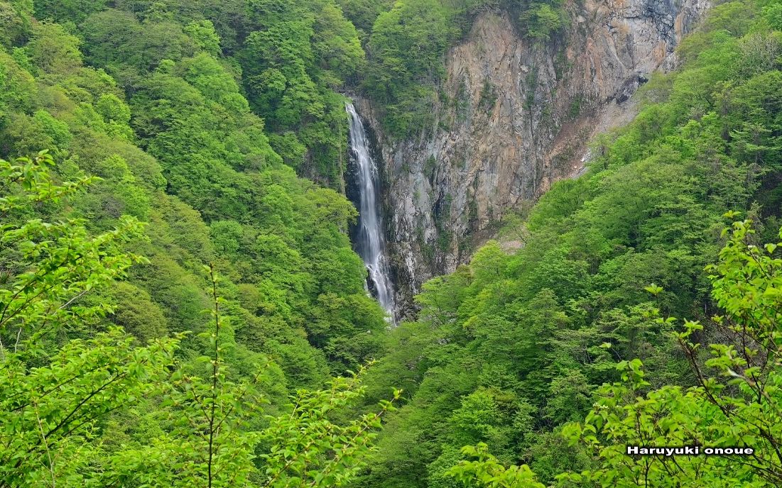 【超清日本】第一视角 新绿的志贺高原 涧满滝瀑布 (4K超清版) 2022.5