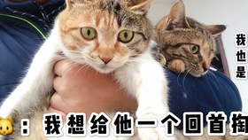 753c9c91d4b564473720067357dadc795d0decbe.jpg@280w_158h_1c_100q.jpg