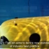 壳牌自主的 FlatFish 水下常驻型自主检测AUV
