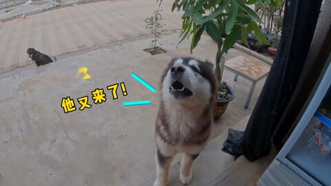 7540319ad352905dd2c205fbb3c7d8aaabccd8d3.jpg@480w_270h_1c