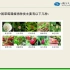 23草莓的品种《常见浆果的新型栽培模式及管理》于华平