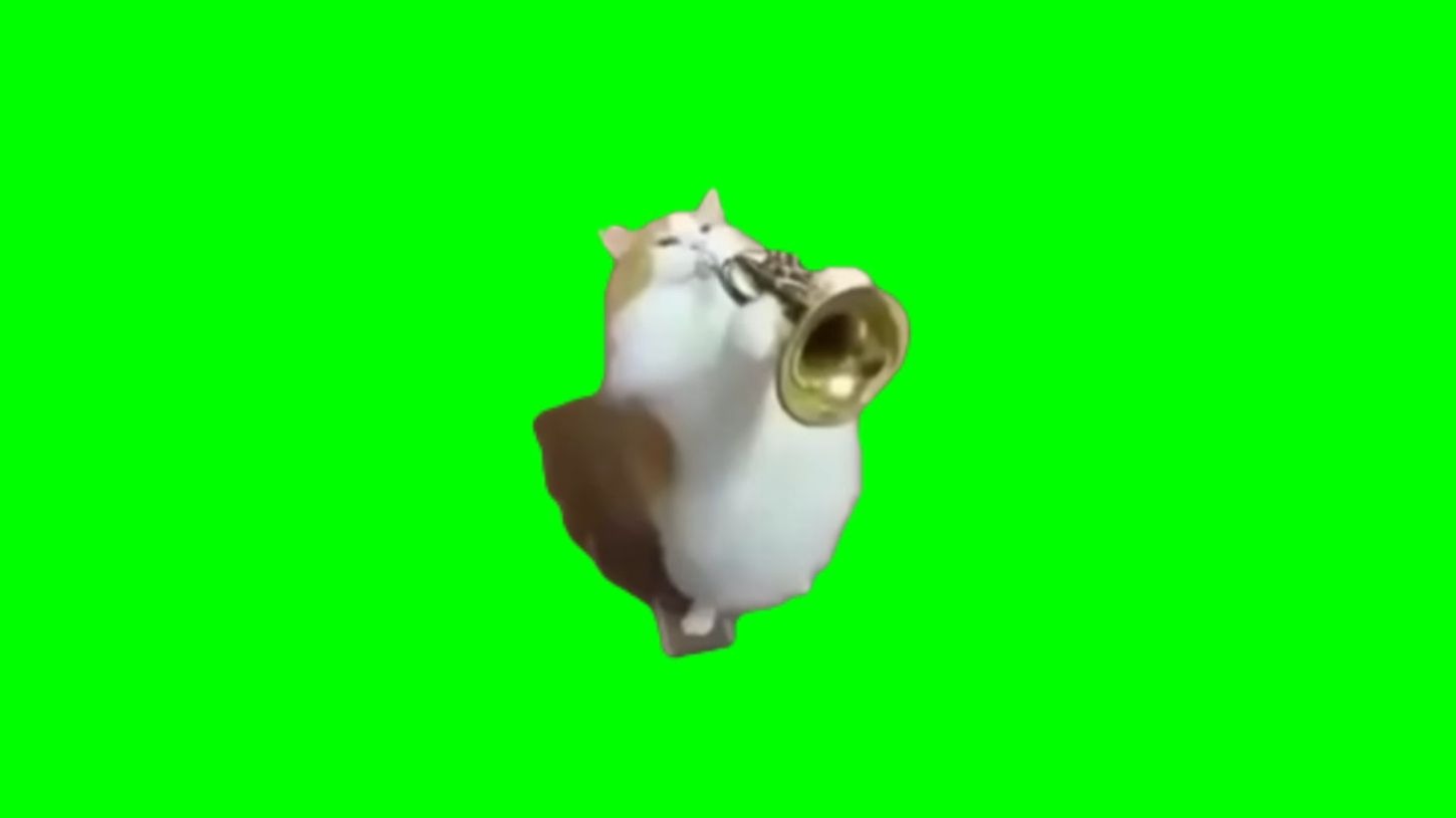 【高清无水印】吹喇叭扰民小猫meme绿幕素材30秒