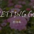【抖音热曲】蔡健雅 - LETTING GO｜完整版｜动态歌词LyricsVideo｜无损音质