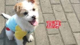 757811c690ca816aada0a505f6ae5e5861ecfd3c.jpg@280w_158h_1c_100q.jpg