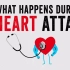 【TED-Ed】心脏病到底是什么？什么会引发心脏病？ @柚子木字幕组