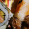 比例比例