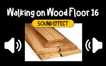 行走 走路 木地板 #16 音效 (HQ)