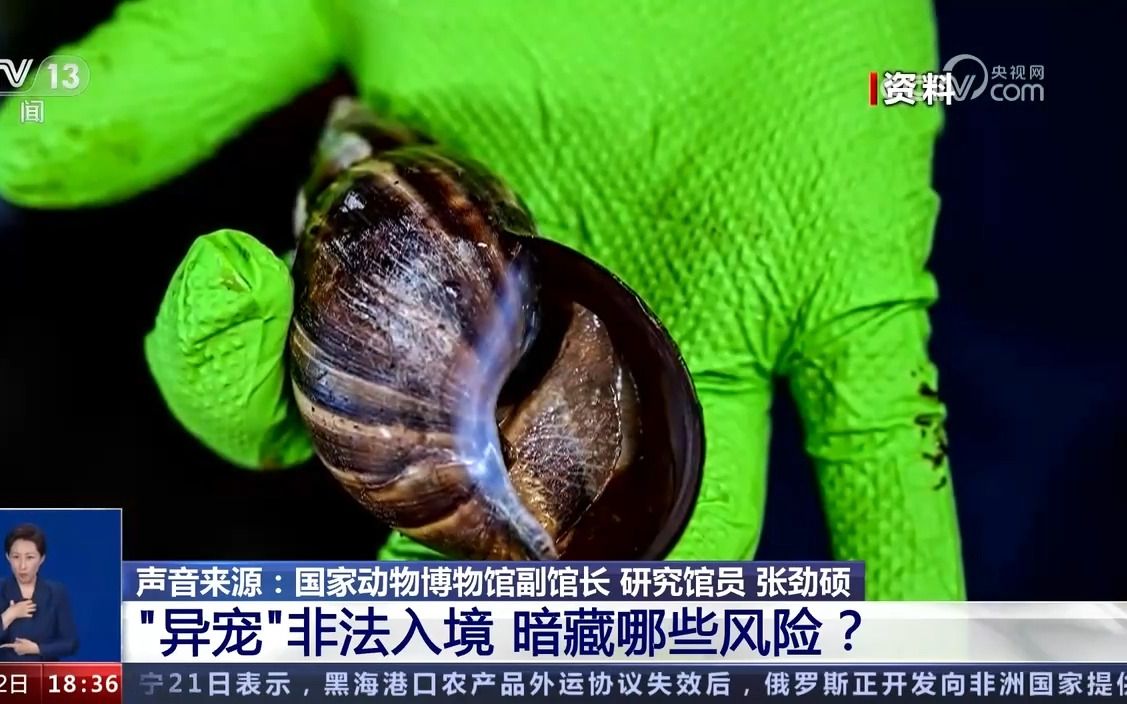 【环境保护】外来物种入侵的常见方式、危害