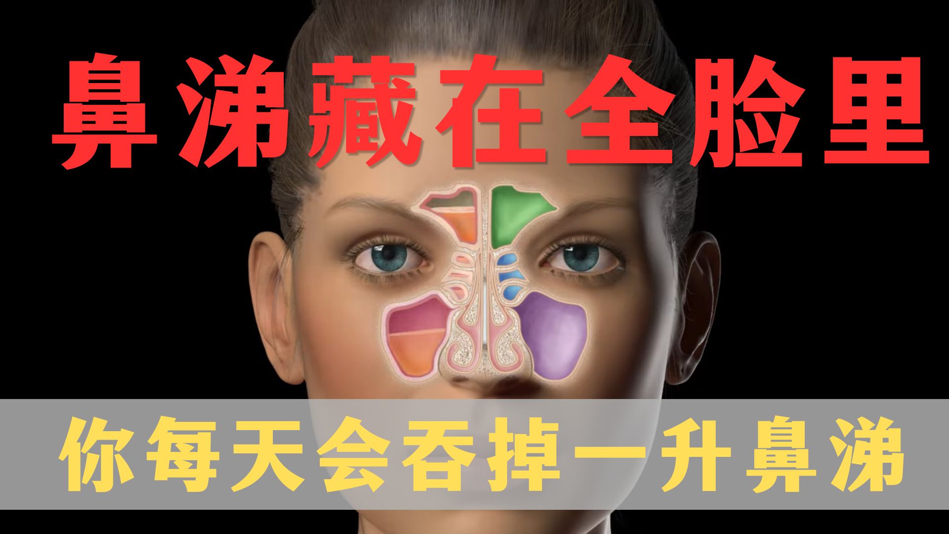 擤完立刻又堵？鼻涕的产量为什么那么大？