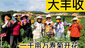 75cb12f9c96fc16e5b9b92da3af5f99e27b9fcd2.jpg@280w_158h_1c_100q.jpg