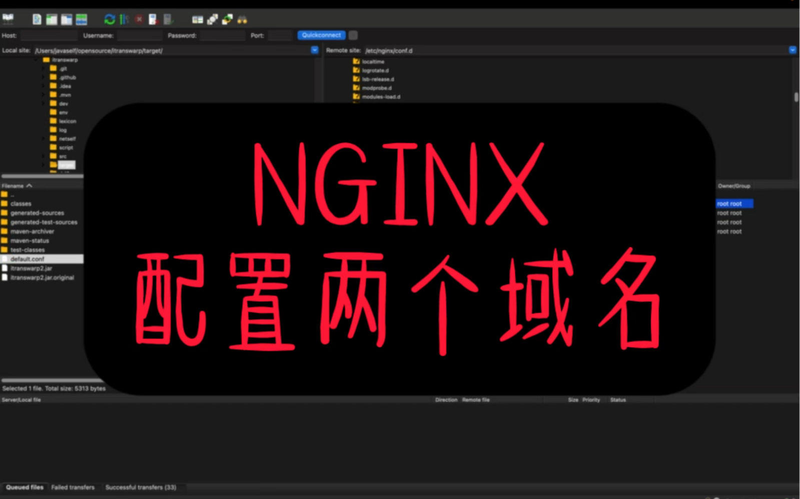 NGINX配置两个域名