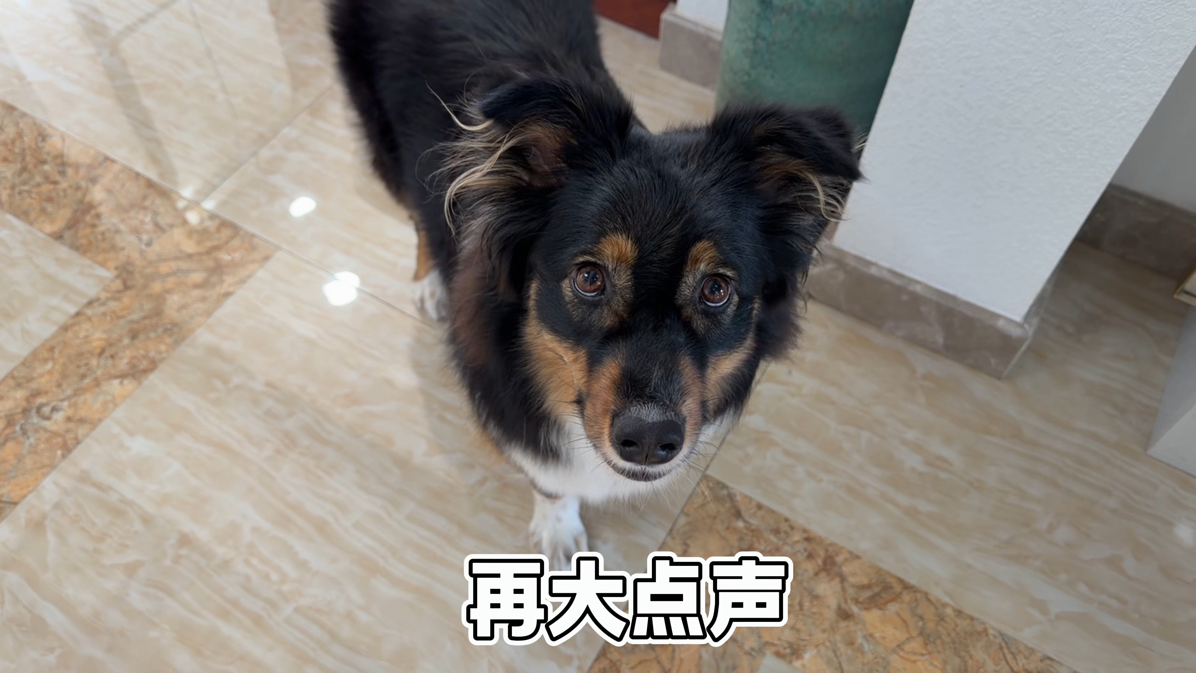 让西米露自己回答