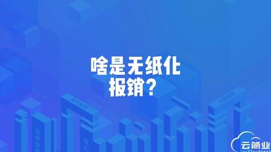 啥是无纸化<em class="keyword">报销</em>--最新版