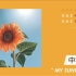 【mewgulf中字】20201210 my sunflower