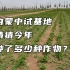 内蒙中试基地种植作物一览！猜猜今年种了多少种作物？