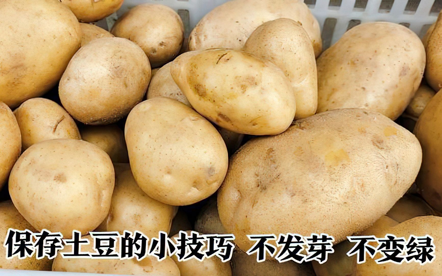 土豆 绿叶摄影图__蔬菜_生物世界_摄影图库_昵图网nipic.com