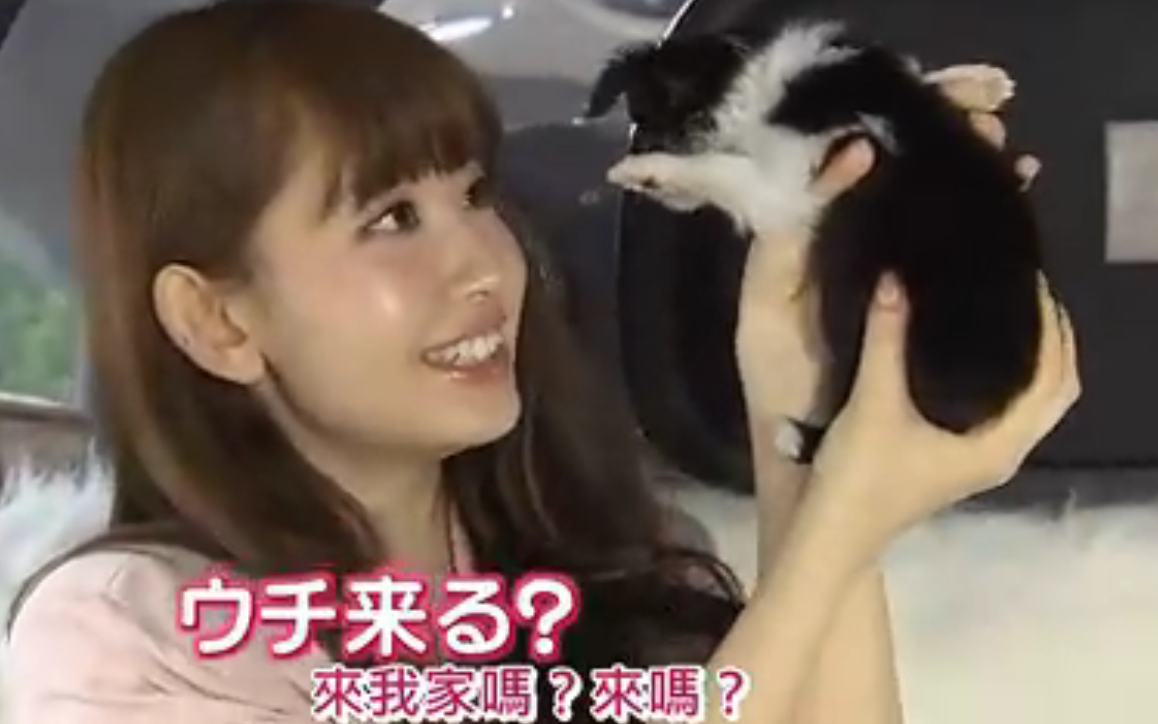 【小嶋陽菜】岳母大人~狗和女儿我就全养了!大王与狗的故事