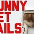 宠物失物锦集-锁上狗狗的门！Funny Pet Fails - Lock The Doggy Door! (August