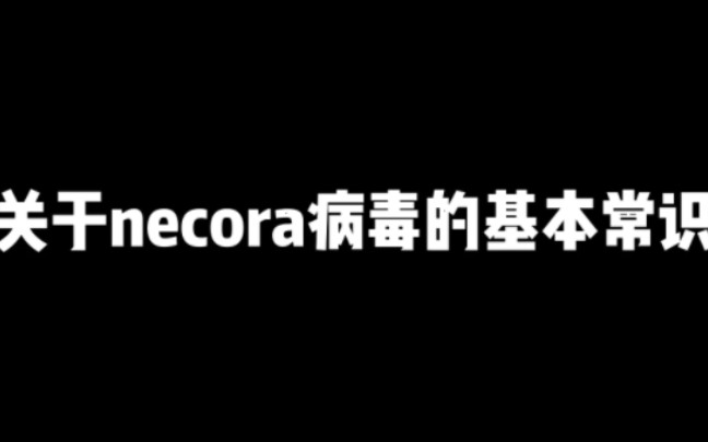 wy公司 necora病毒最基本常识性问题