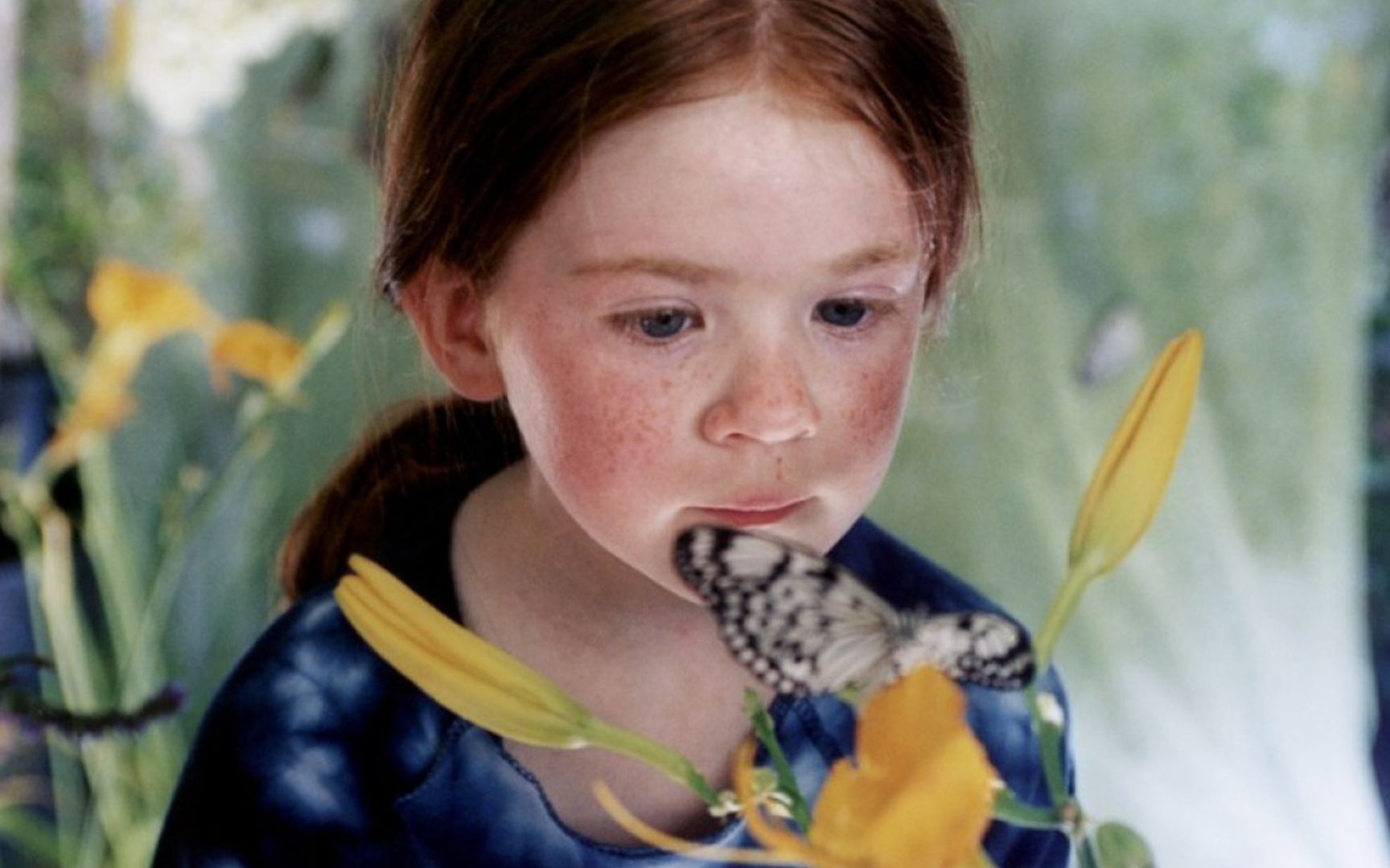 豆瓣8.6，不愧是央视每年播8遍的电影，太治愈了！